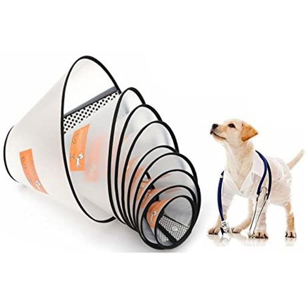 Elizabethan Collar