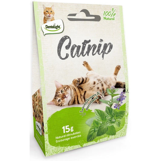 Gnawlers Dentalight Natural Catnip - 15Gr - Petzone Kenya