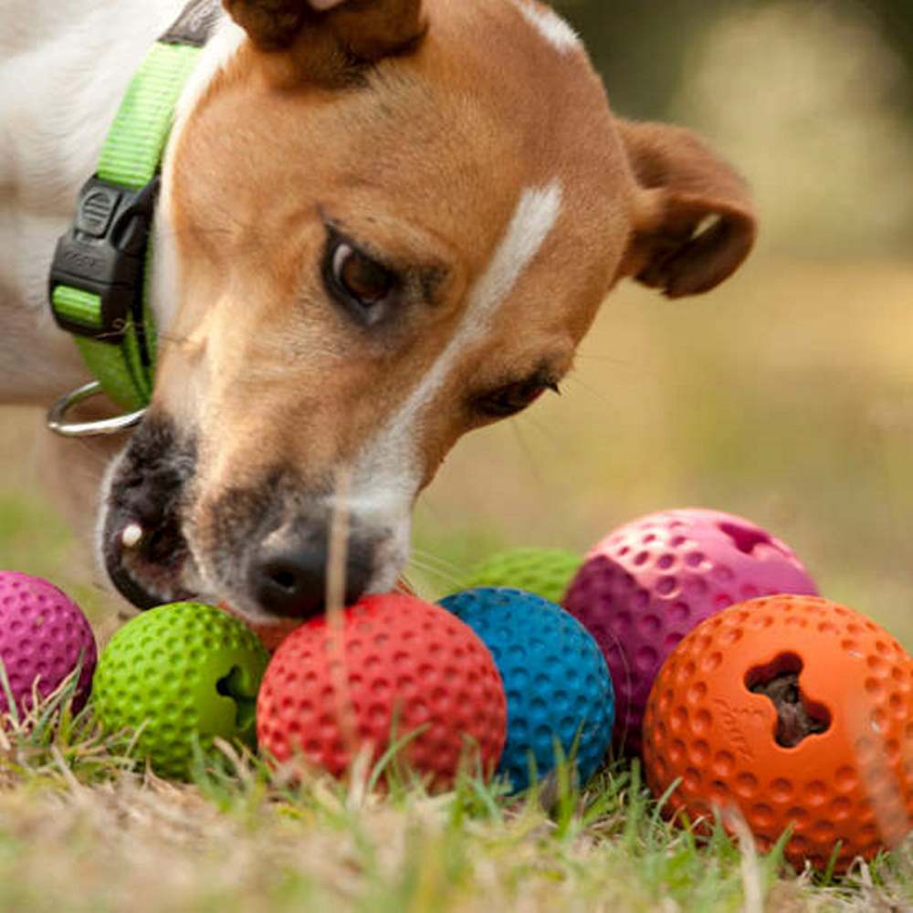 GUMZ RUBBER Treat Ball - Petzone Kenya