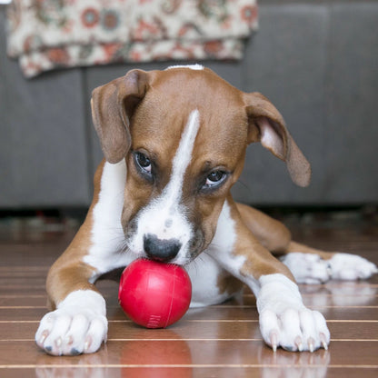 KONG Ball w/Hole - Petzone Kenya
