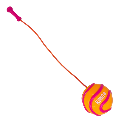 KONG Bunji High - Viz Ball Assorted - Petzone Kenya