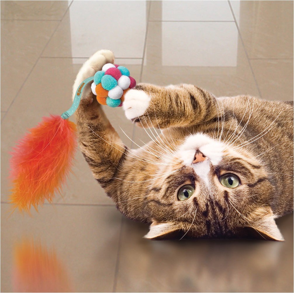 KONG Cat Active Bubble Ball Assorted - Petzone Kenya