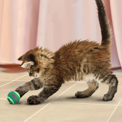 KONG Cat Active Tennis Balls w/Bells - Petzone Kenya