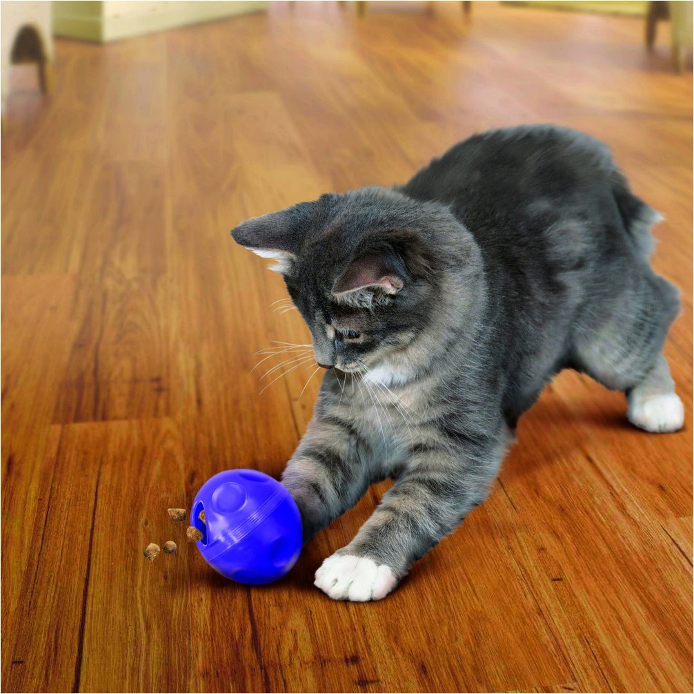 KONG Cat Treat Dispensing Ball - Petzone Kenya