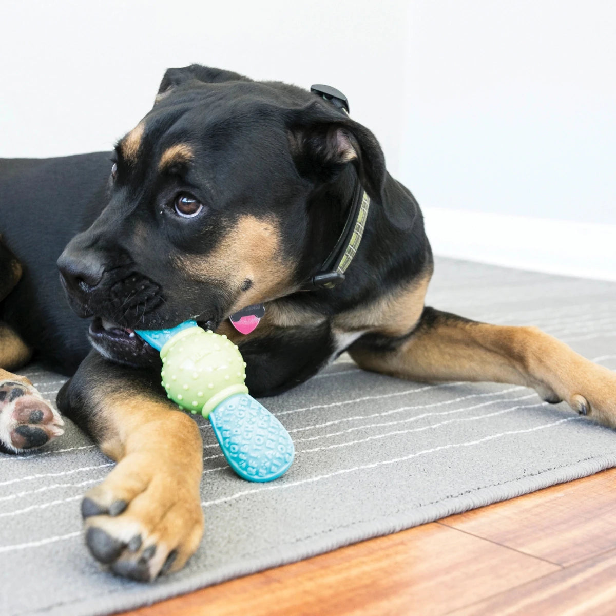 KONG CoreStrength Bow Tie - Petzone Kenya