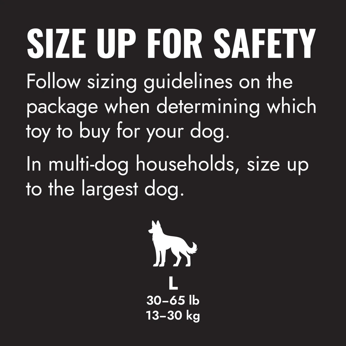 KONG Extreme Ball w/Rope - Petzone Kenya