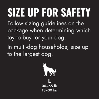 KONG Extreme Ball w/Rope - Petzone Kenya