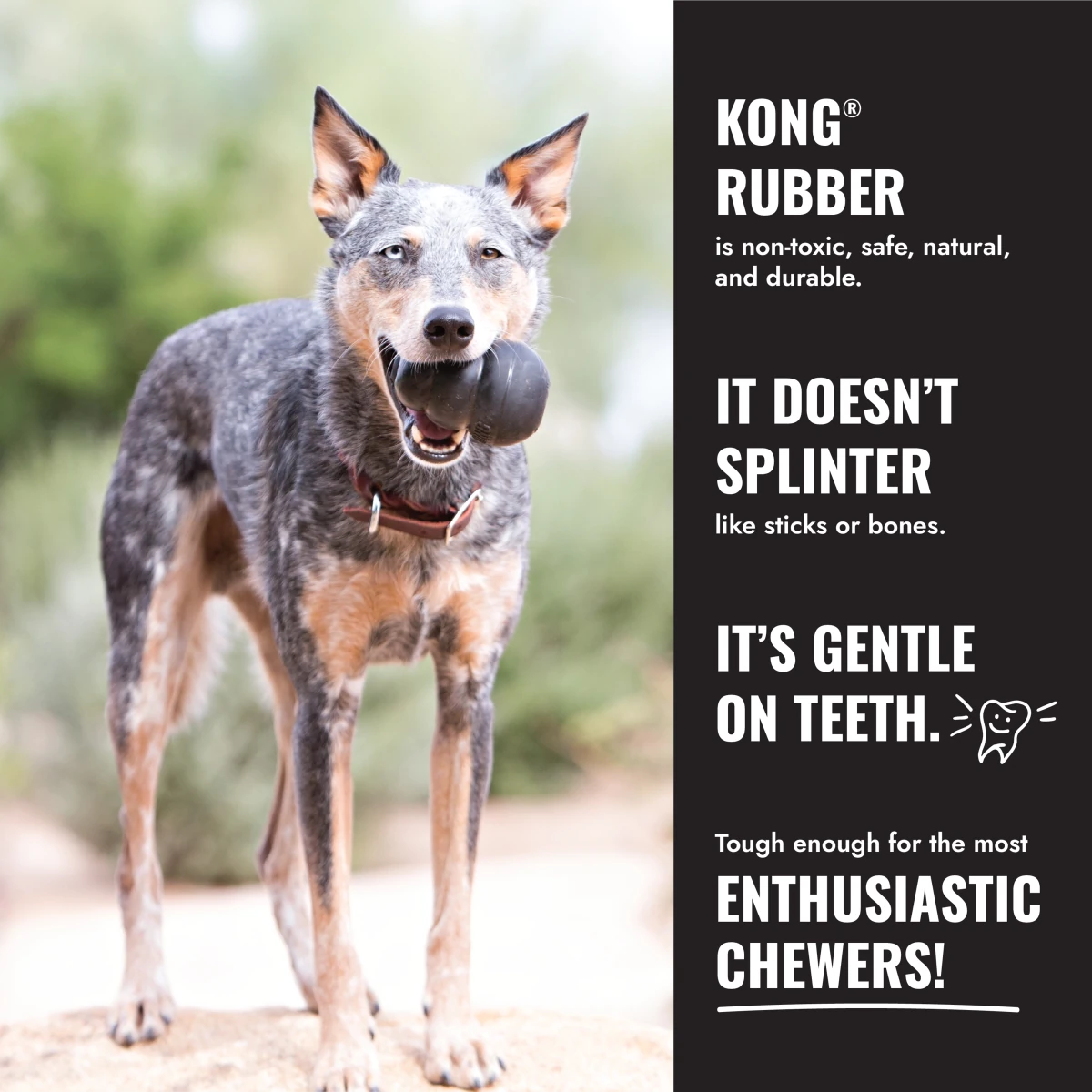 KONG Extreme Ball w/Rope - Petzone Kenya