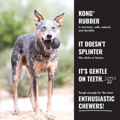 KONG Extreme Ball w/Rope - Petzone Kenya