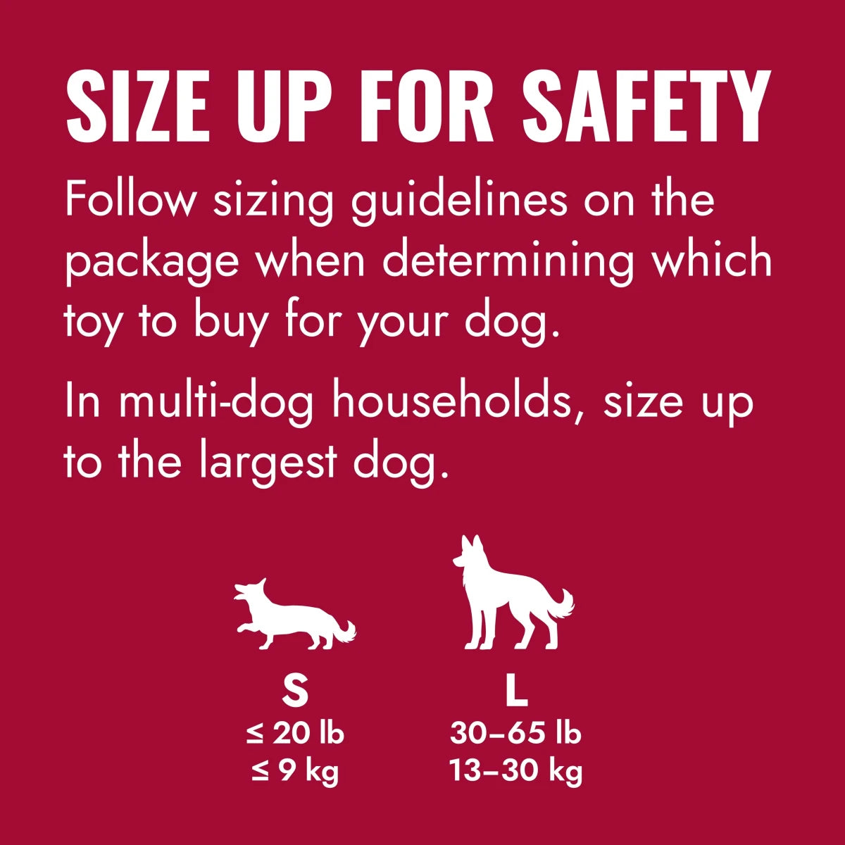 KONG Flyer - Petzone Kenya