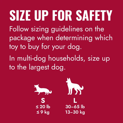 KONG Flyer - Petzone Kenya