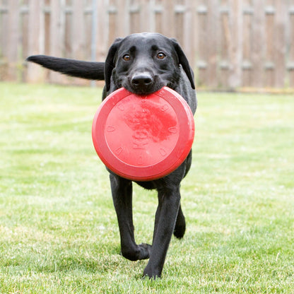 KONG Flyer - Petzone Kenya