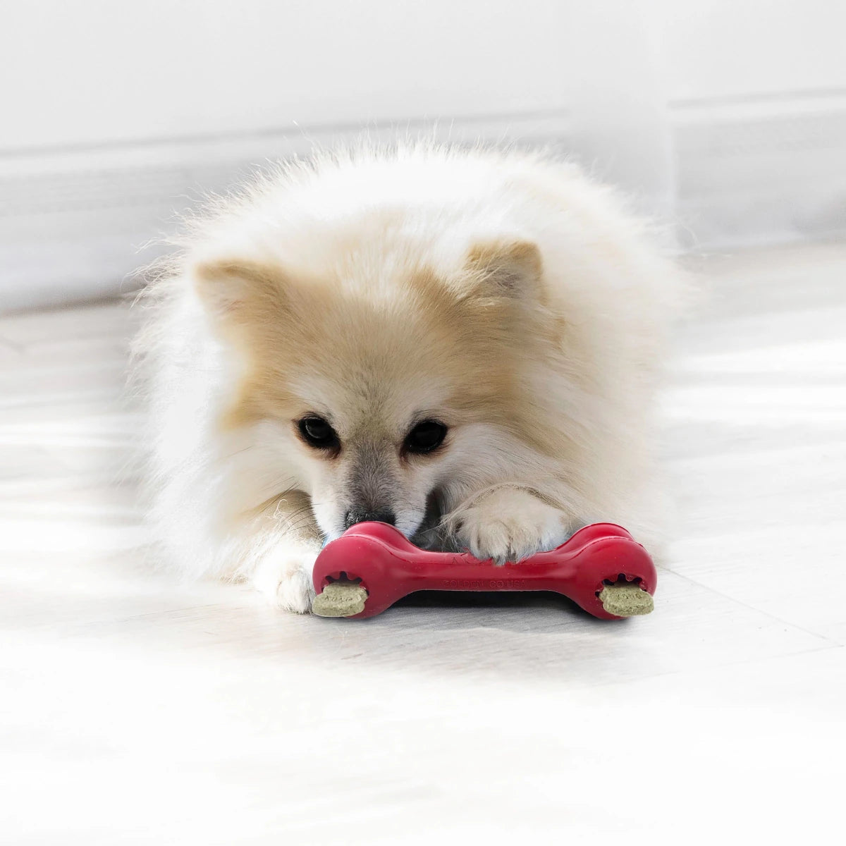 KONG GOODIE BONE - Petzone Kenya