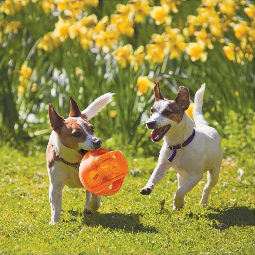 KONG JUMBLER BALL ASSORTED - Petzone Kenya