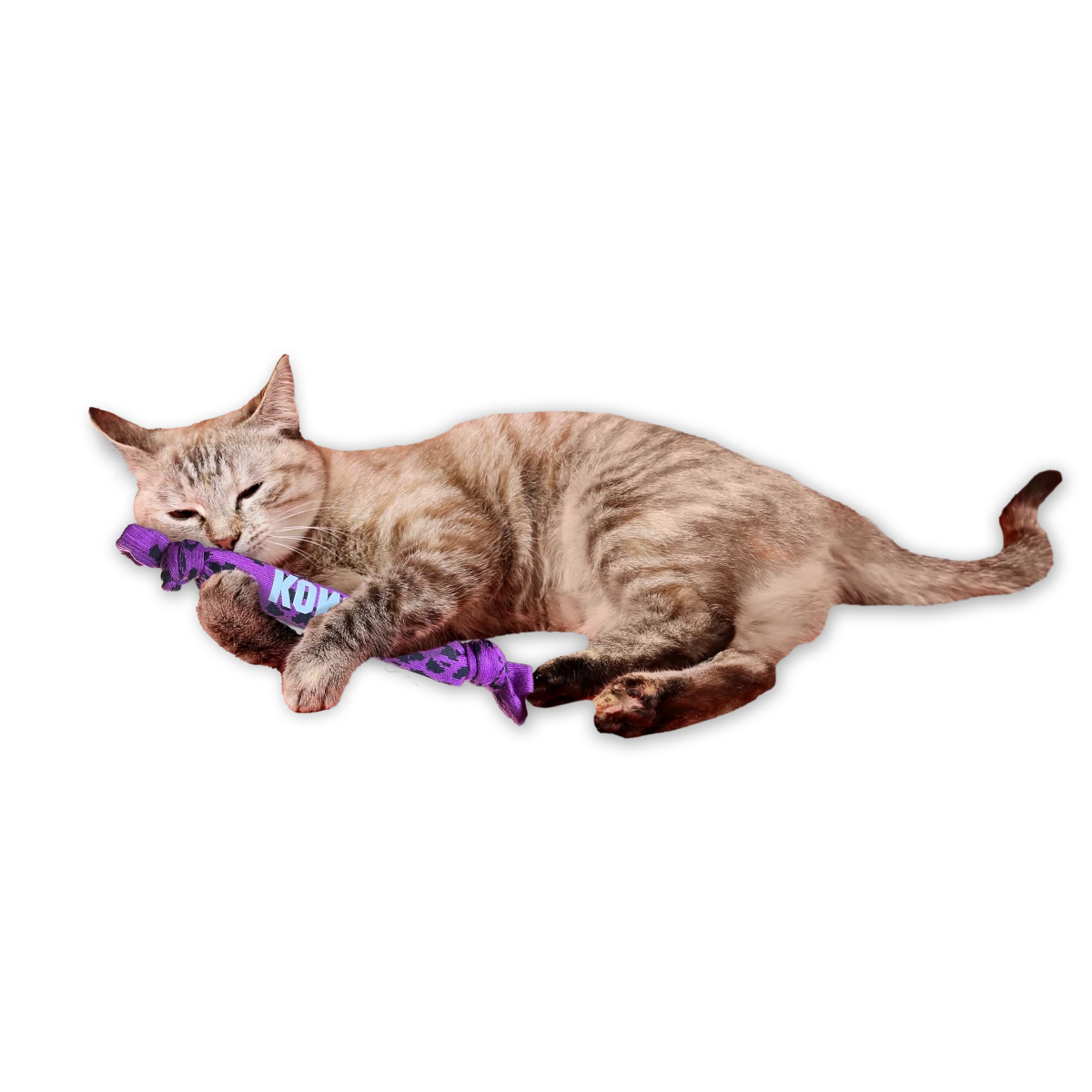 KONG Kickeroo Crunch - Petzone Kenya