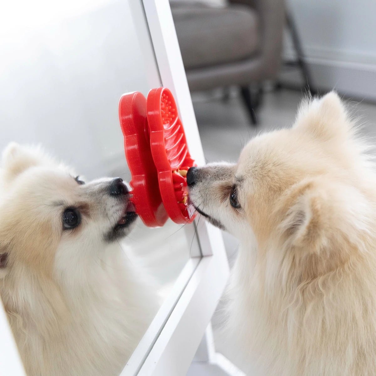 KONG Licks - Petzone Kenya