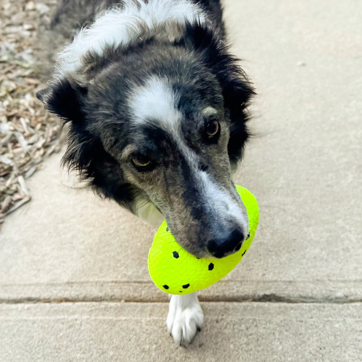 KONG Reflex Football - Petzone Kenya