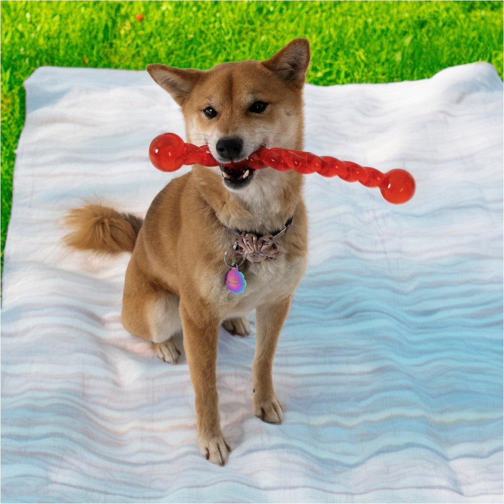 KONG SafeStix Assorted - Petzone Kenya