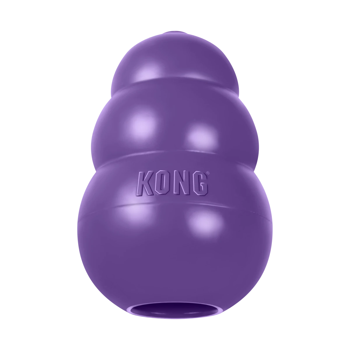 KONG Senior - Petzone Kenya