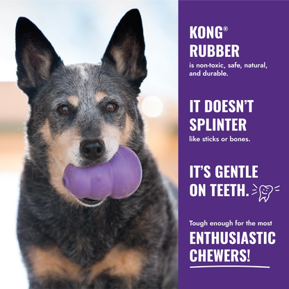 KONG Senior - Petzone Kenya