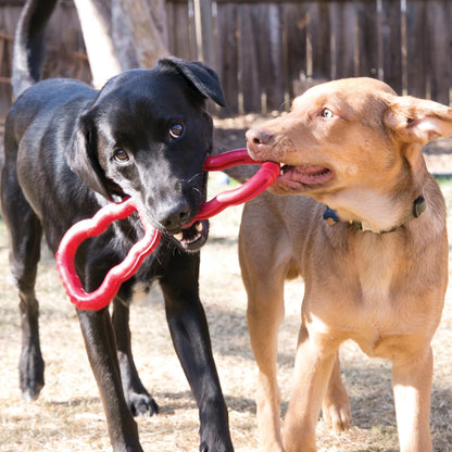 KONG Tug - Petzone Kenya