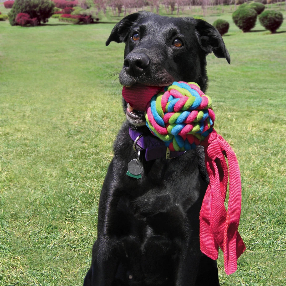 KONG Wubba Weaves Assorted - Petzone Kenya
