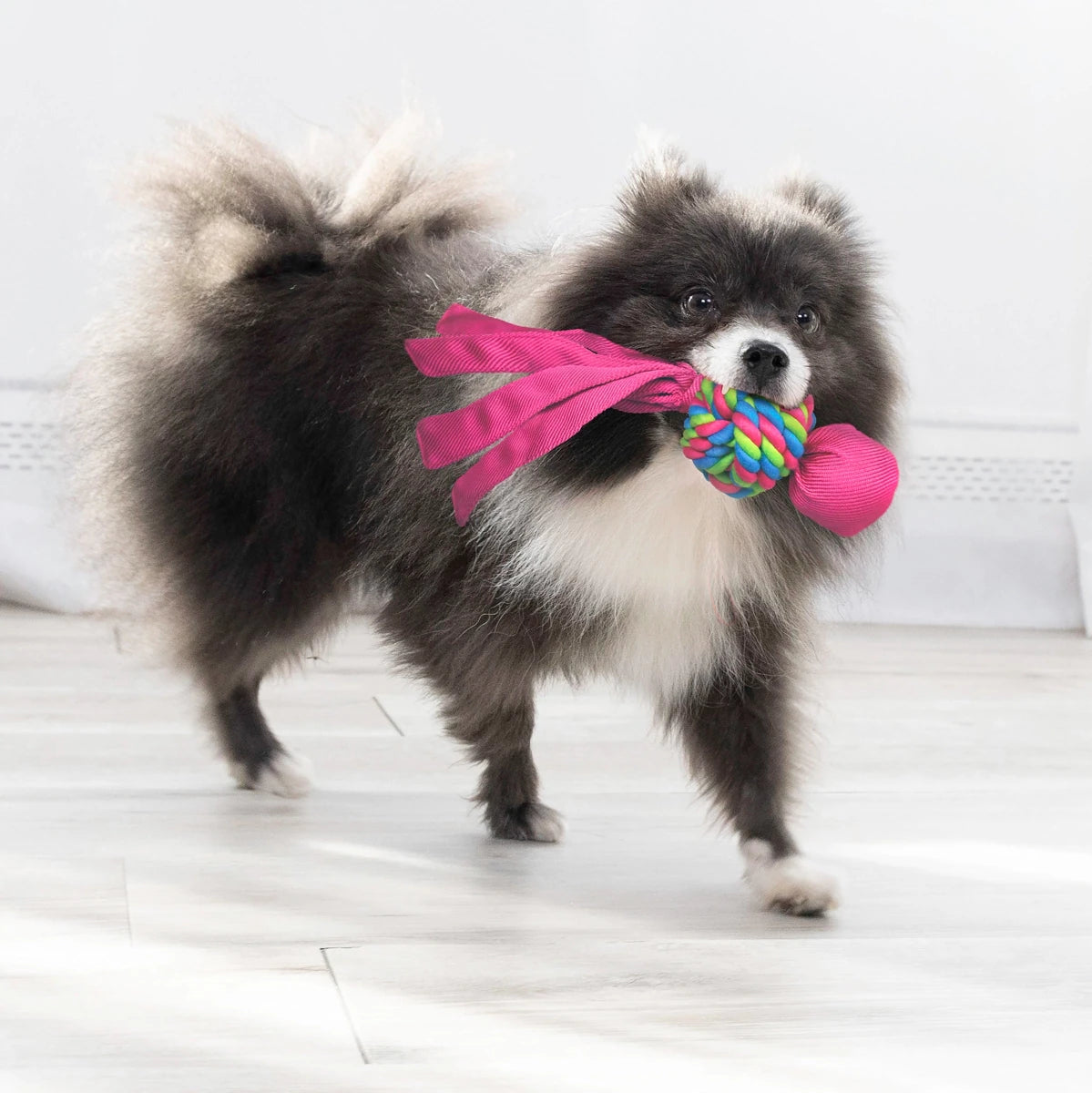 KONG Wubba Weaves Assorted - Petzone Kenya