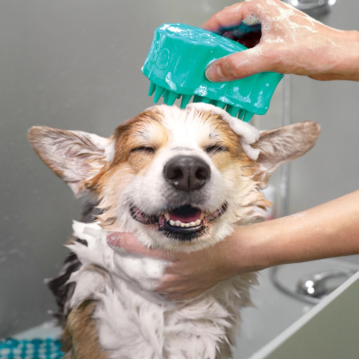KONG ZoomGroom Bubbles - Petzone Kenya