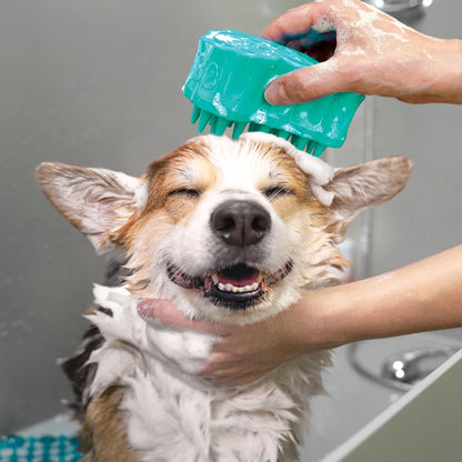 KONG ZoomGroom Bubbles - Petzone Kenya