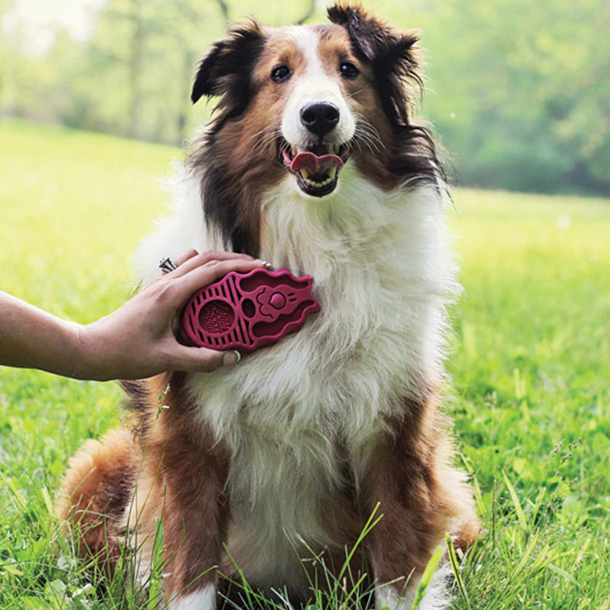 KONG ZoomGroom Raspberry - Petzone Kenya