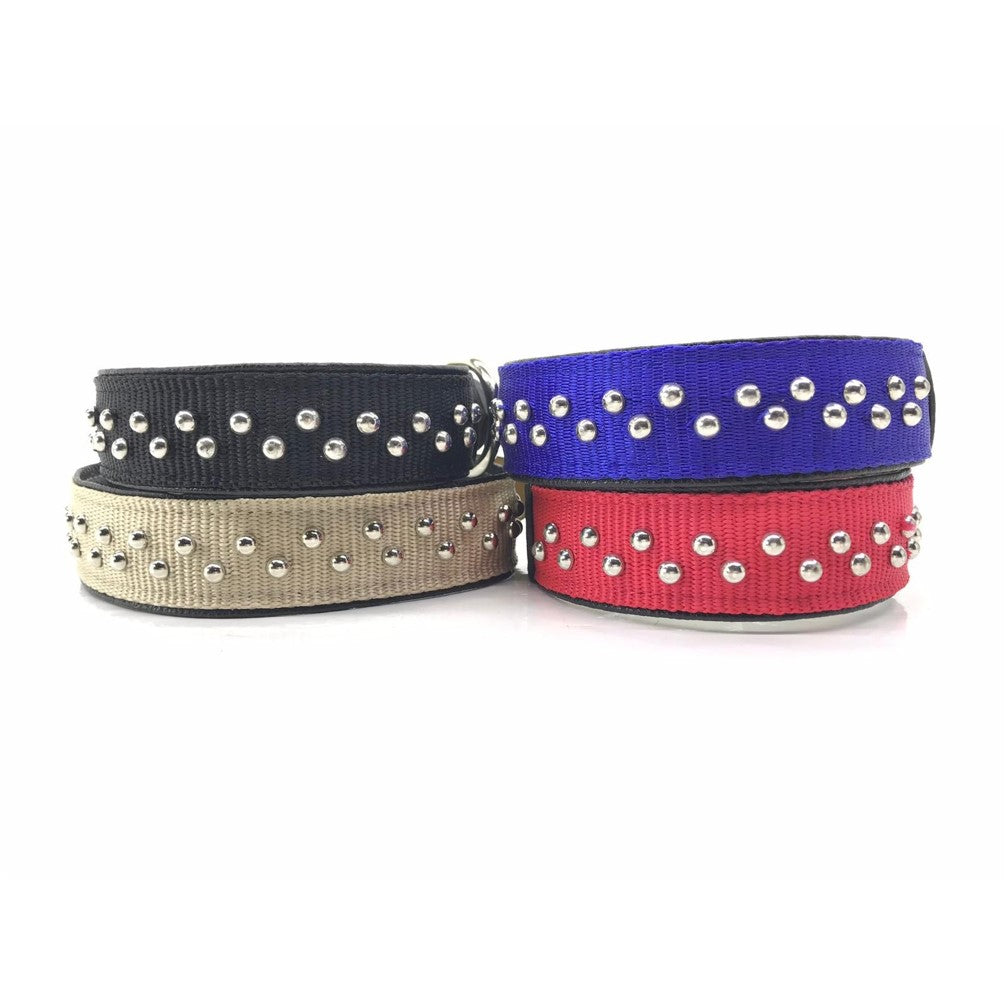 LINO Accesorized Leather Tip Collar