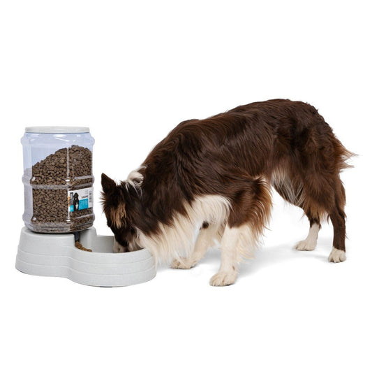M–Pets SAONE Food Dispenser - Petzone Kenya