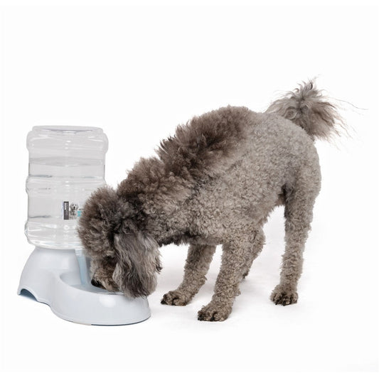 M–Pets SAONE Water Dispenser - Petzone Kenya