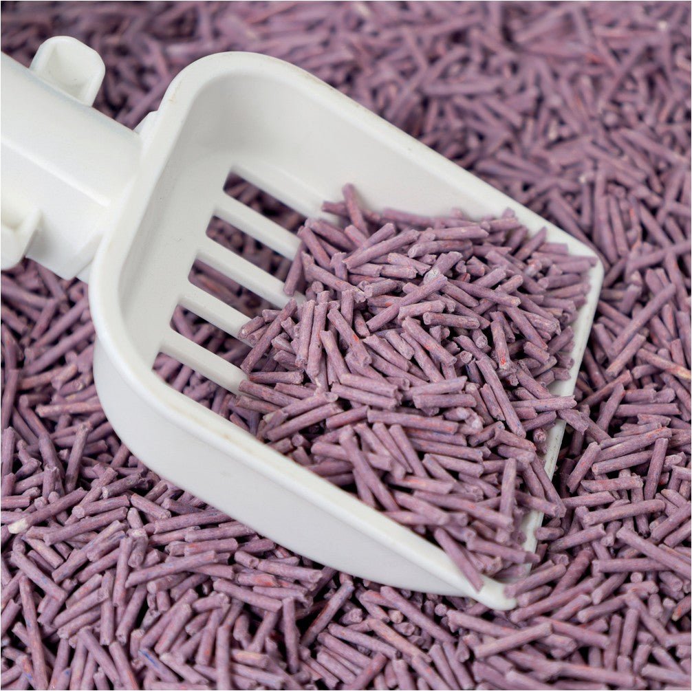 M–Pets SOYA Cat Litter - Lavender Scented - Petzone Kenya