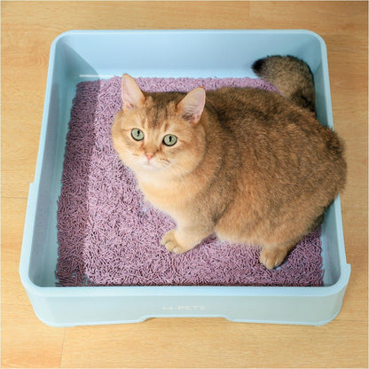 M–Pets SOYA Cat Litter - Lavender Scented - Petzone Kenya