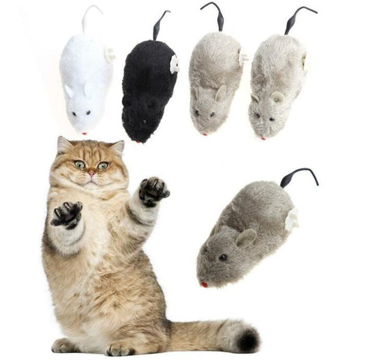 Saas Cat Toys Mouse With Key