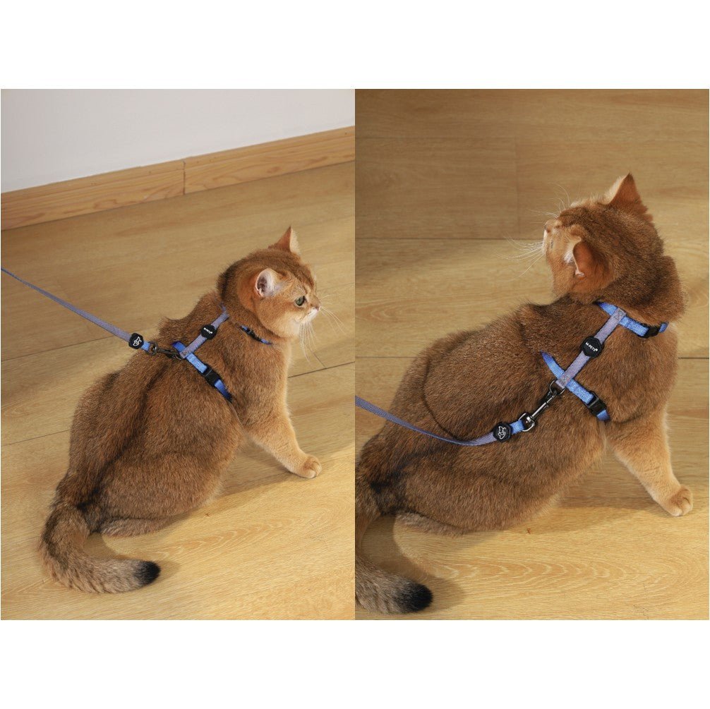 MPETS GENTLE CAT Harness Leash Set - Petzone Kenya