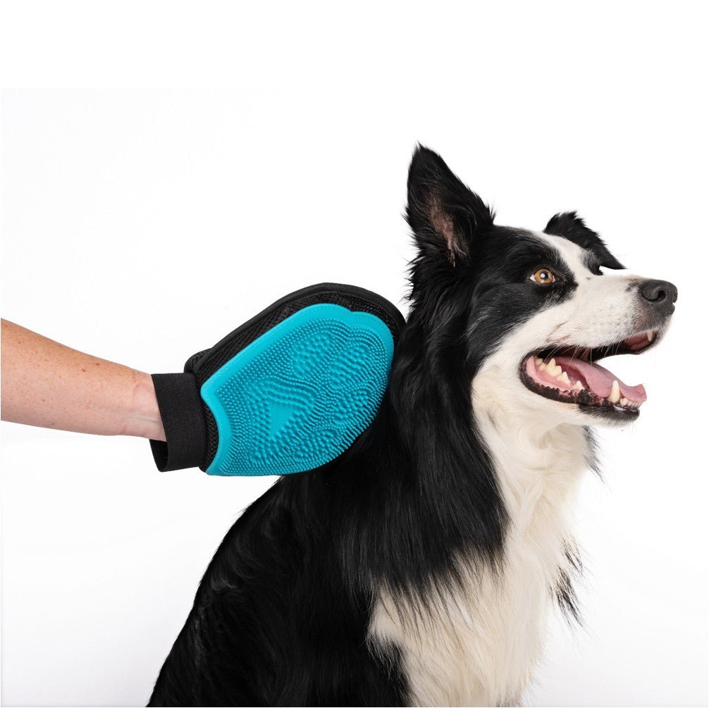 MPETS HAIRDO Grooming Mitt - Petzone Kenya