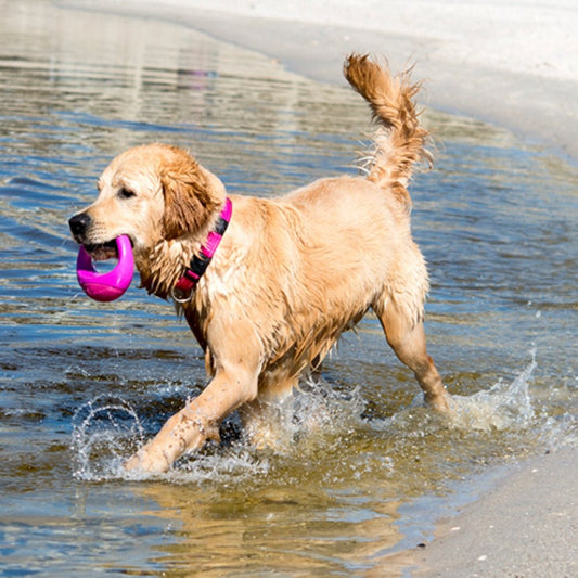 POP - UPZ Self Righting Toy (S/M) - Petzone Kenya