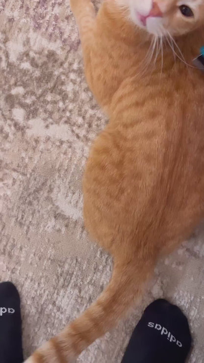 M–Pets STYLUS Deshedding Brush