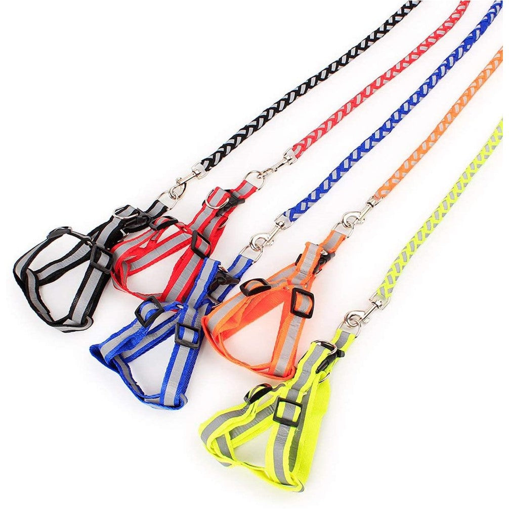 Reflective Leash With Harness Set