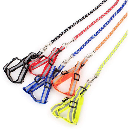 Reflective Leash With Harness Set