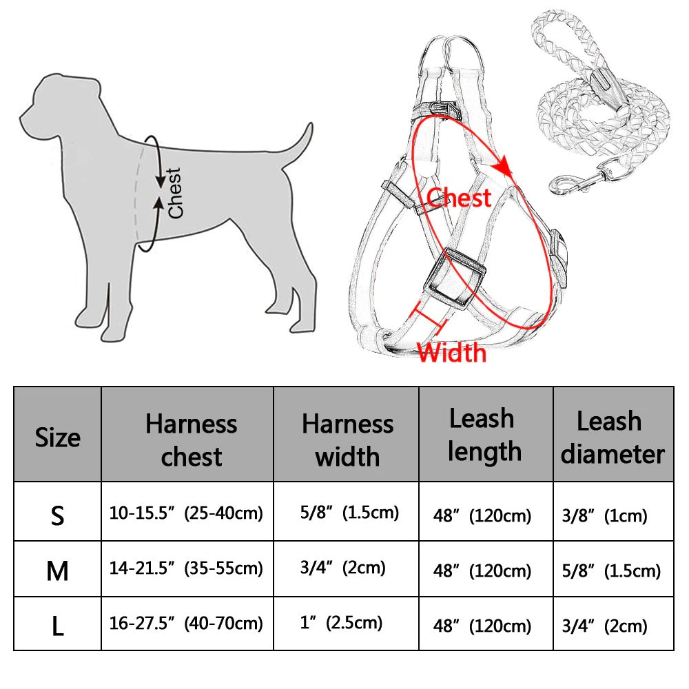 Reflective Leash With Harness Set