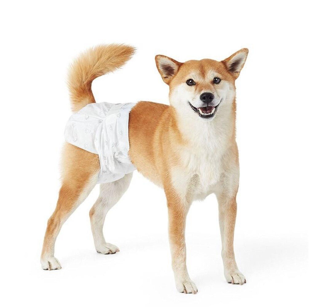 Saas Dog Diaper (Xl) - Petzone Kenya