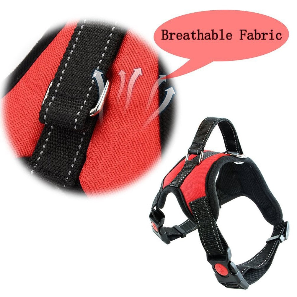 Dog Harness