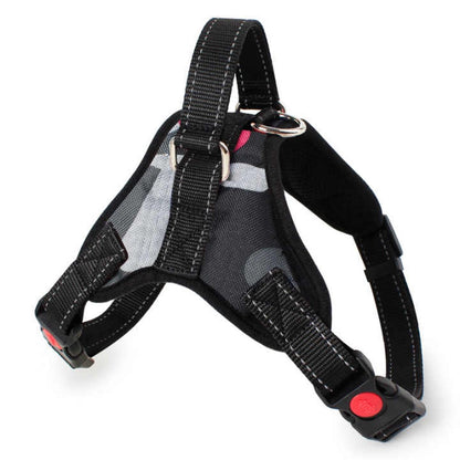 Dog Harness