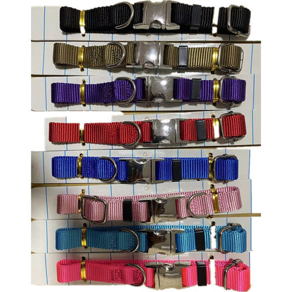 Dog Collars