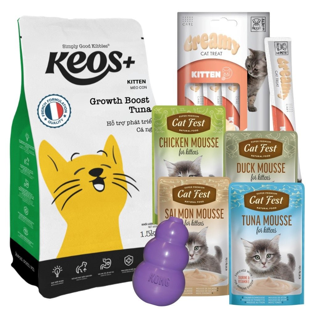 The Ultimate Kitten Starter Pack - Petzone Kenya