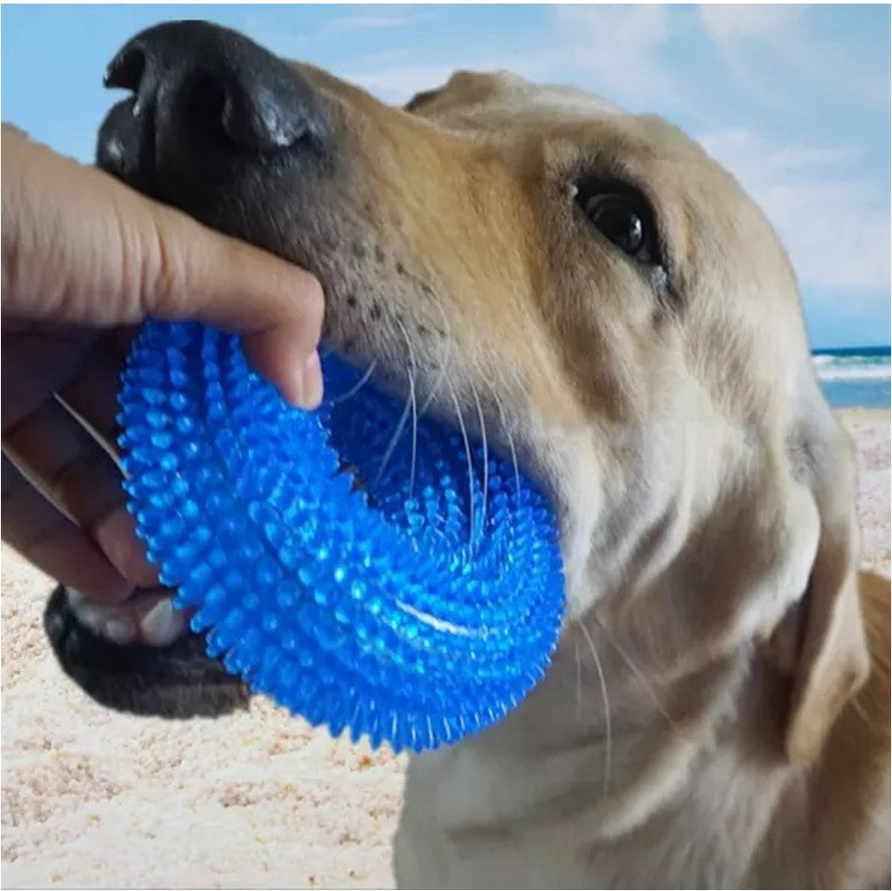 Tpr Dog Ring Toy  L:12.5*4 Cm
