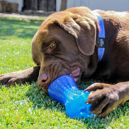 YUMZ Treat Toy Pink(L) - Petzone Kenya